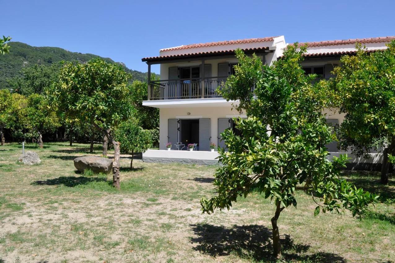 Orange Grove Suites Benícesz Kültér fotó