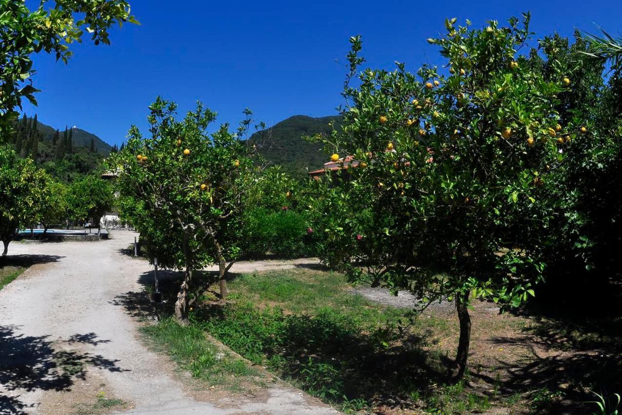 Orange Grove Suites Benícesz Kültér fotó