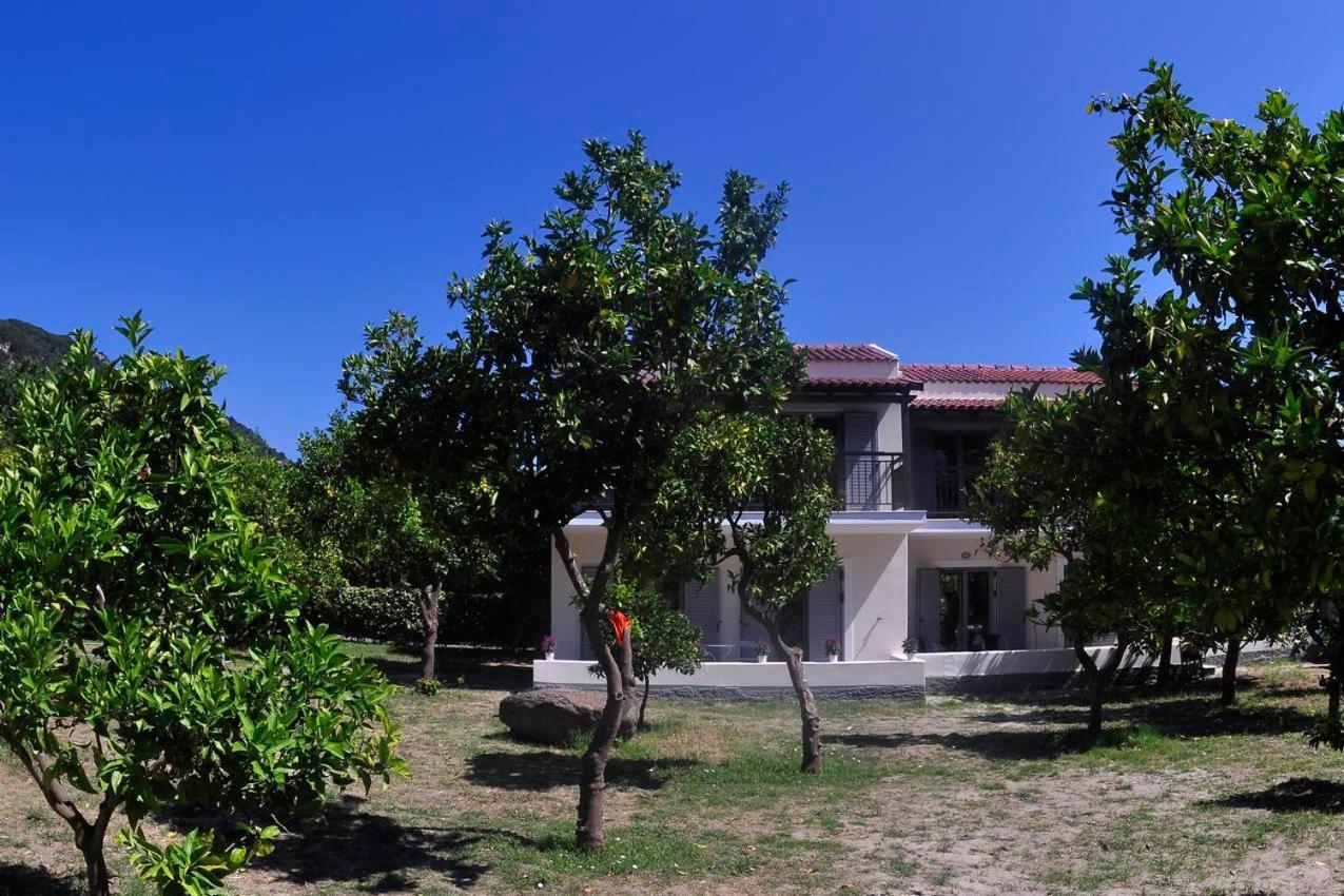 Orange Grove Suites Benícesz Kültér fotó